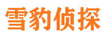 七星市调查公司